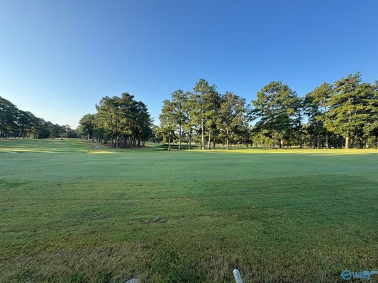 200 COUNTY RD 380, CENTRE, AL 35960 - Image ab67d6c69ef1ed6d157d831c855c3eec/300039945