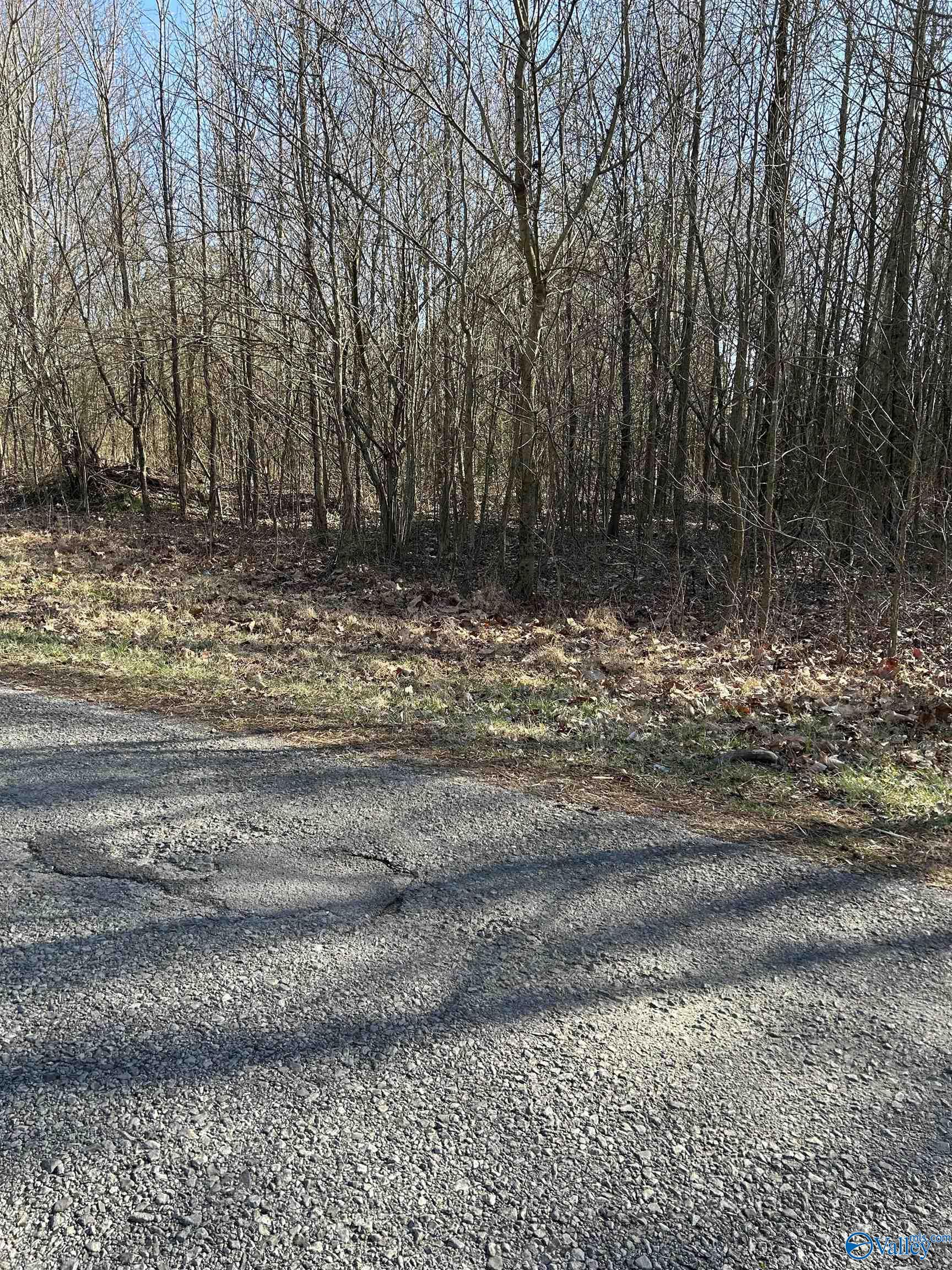 1 Acre Willis Road, Union Grove, Alabama image 2
