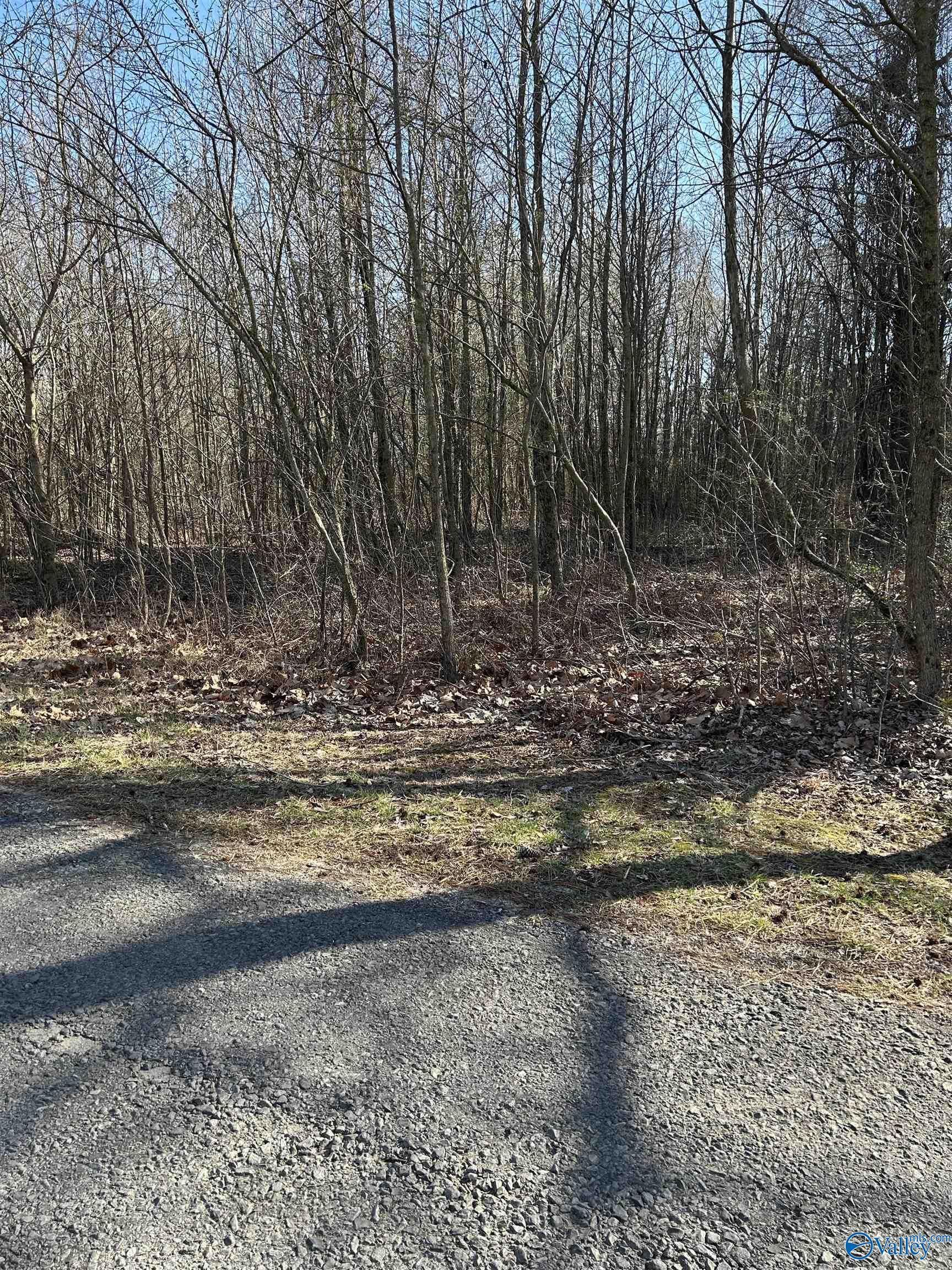 1 Acre Willis Road, Union Grove, Alabama image 1