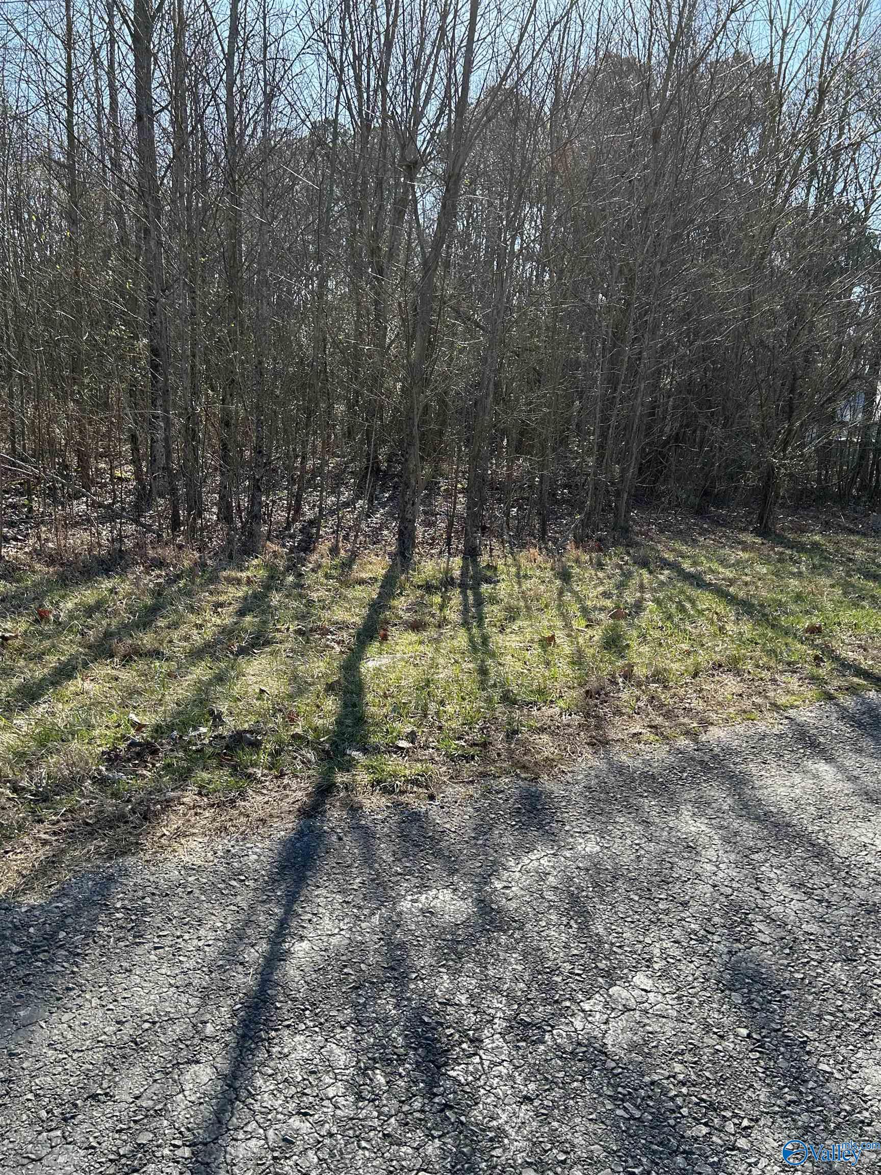 1 Acre Willis Road, Union Grove, Alabama image 3