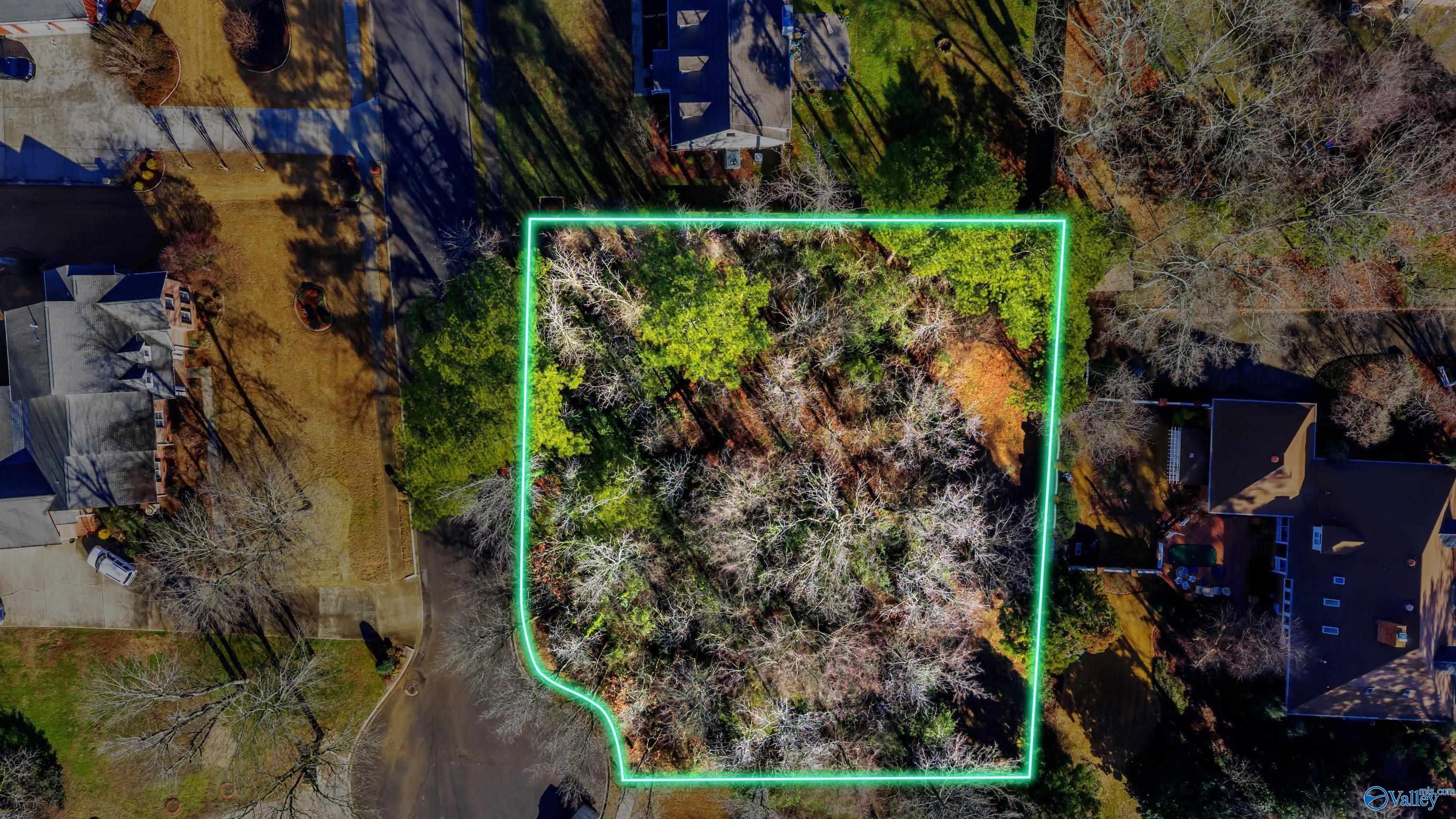 207 Willowchase Drive