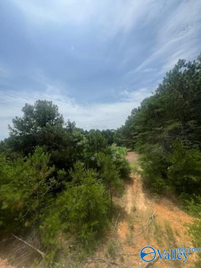 1.52 Ac County Road 350, Fort Payne, Alabama image 1