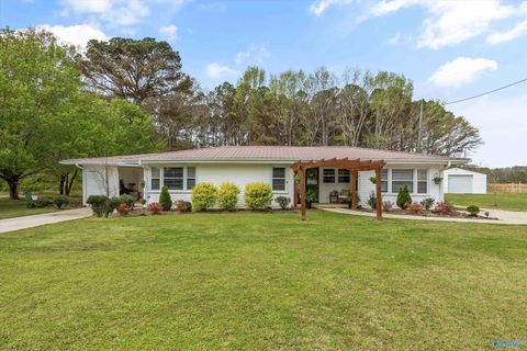 Photo of 196 Curt Road, New Hope, AL 35760 (MLS # 21913358)