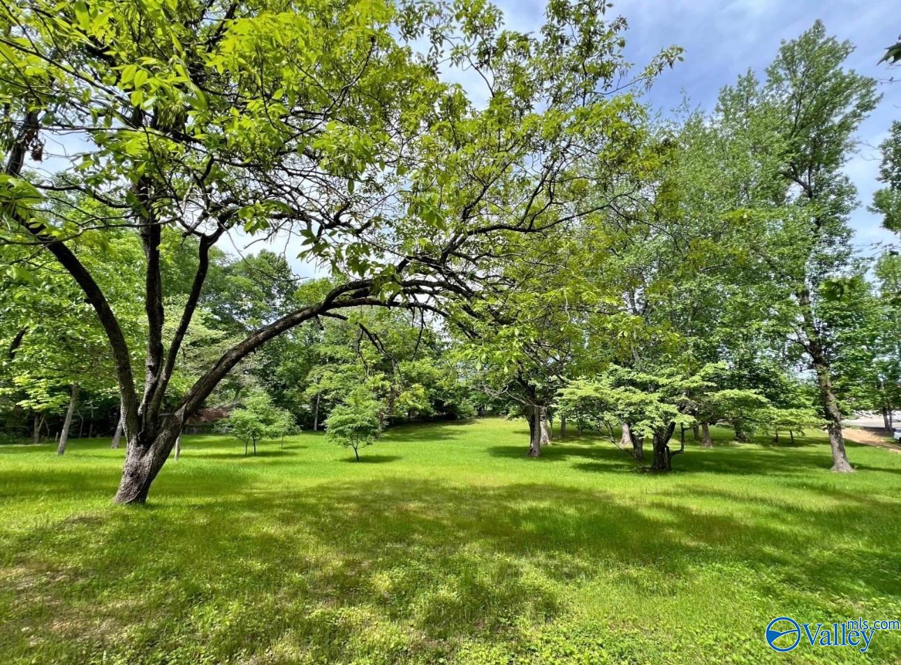 617 Alabama Street, Killen, Alabama image 10