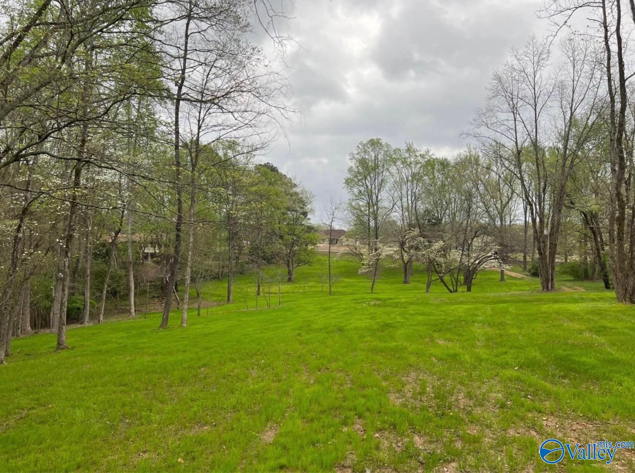 617 Alabama Street, Killen, Alabama image 1