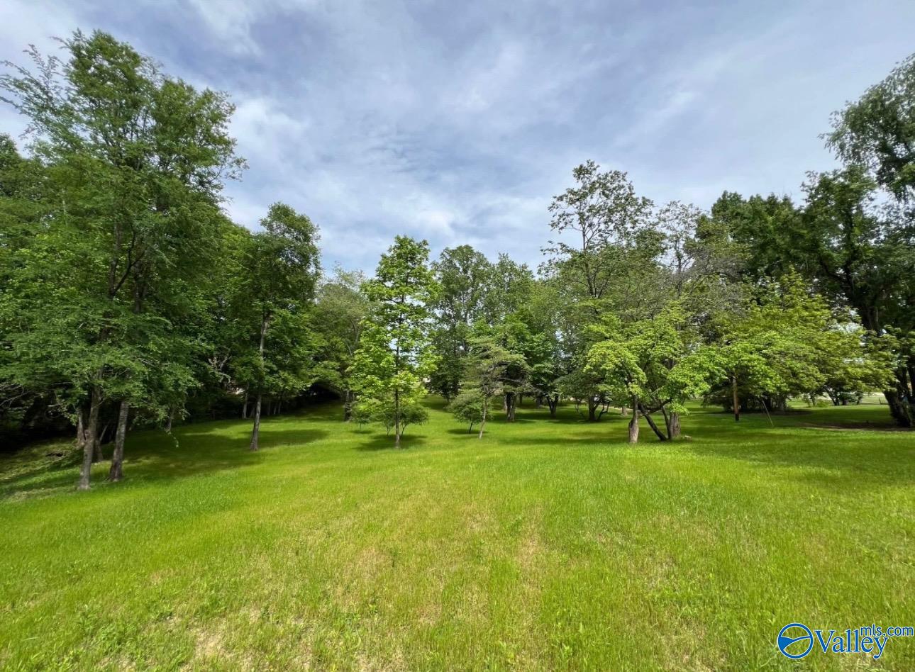 617 Alabama Street, Killen, Alabama image 9
