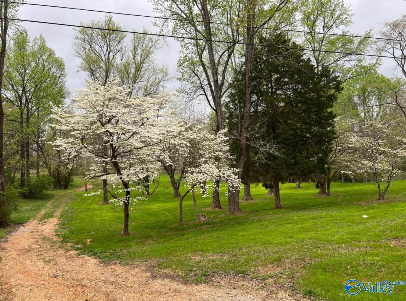 617 Alabama Street, Killen, Alabama image 2