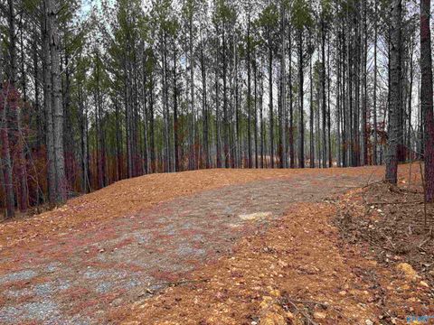 Vacant Land For Sale - 1 County Road 155<br/> Cherokee County, Centre, AL 35960