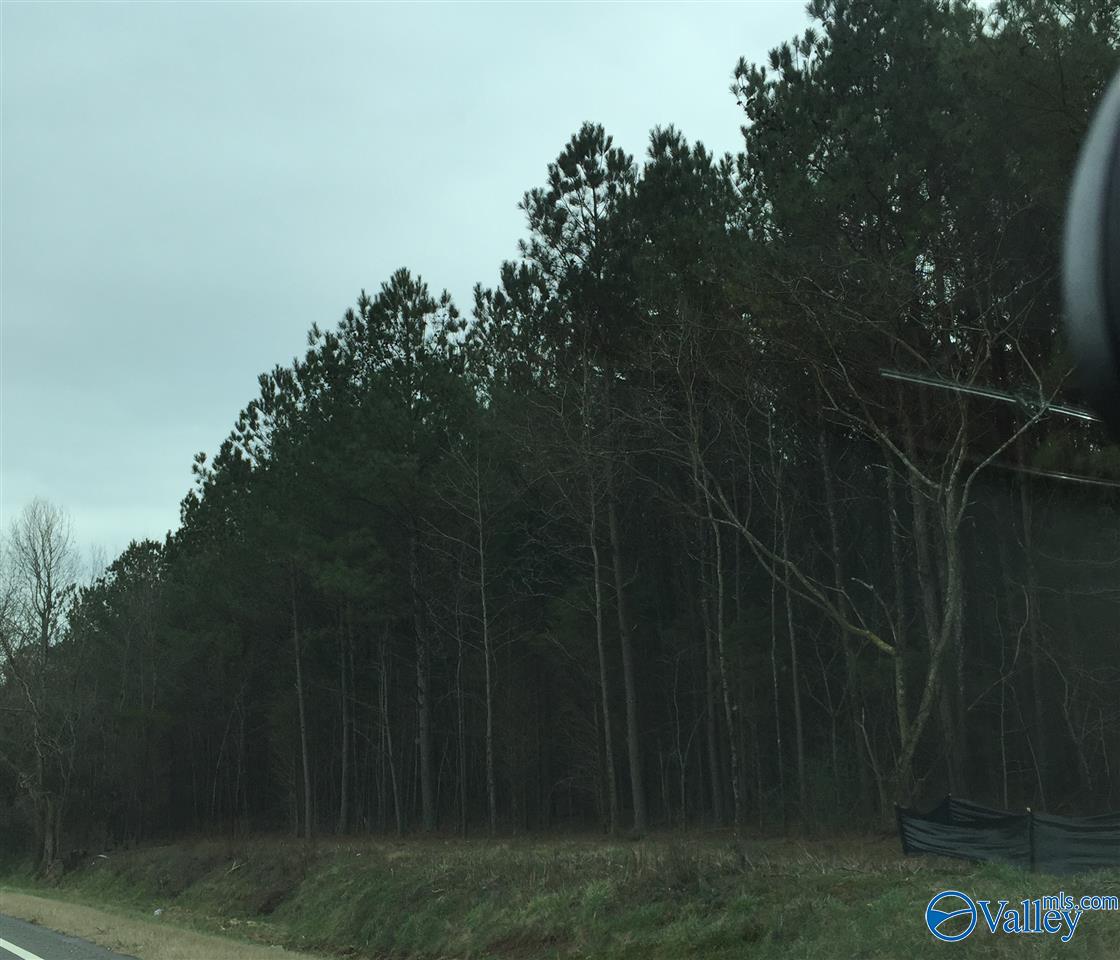 9 Acres Highway 72, Madison, Alabama image 8