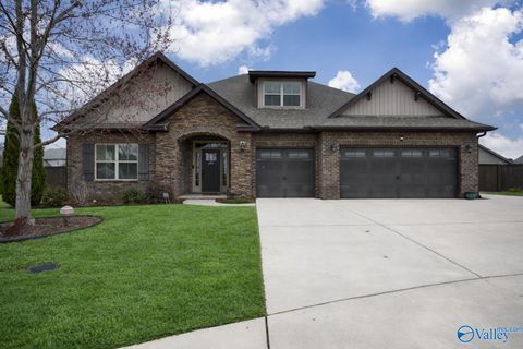 Homes For Sale - 201 Rowan Street<br/> Meridianville, AL 35759