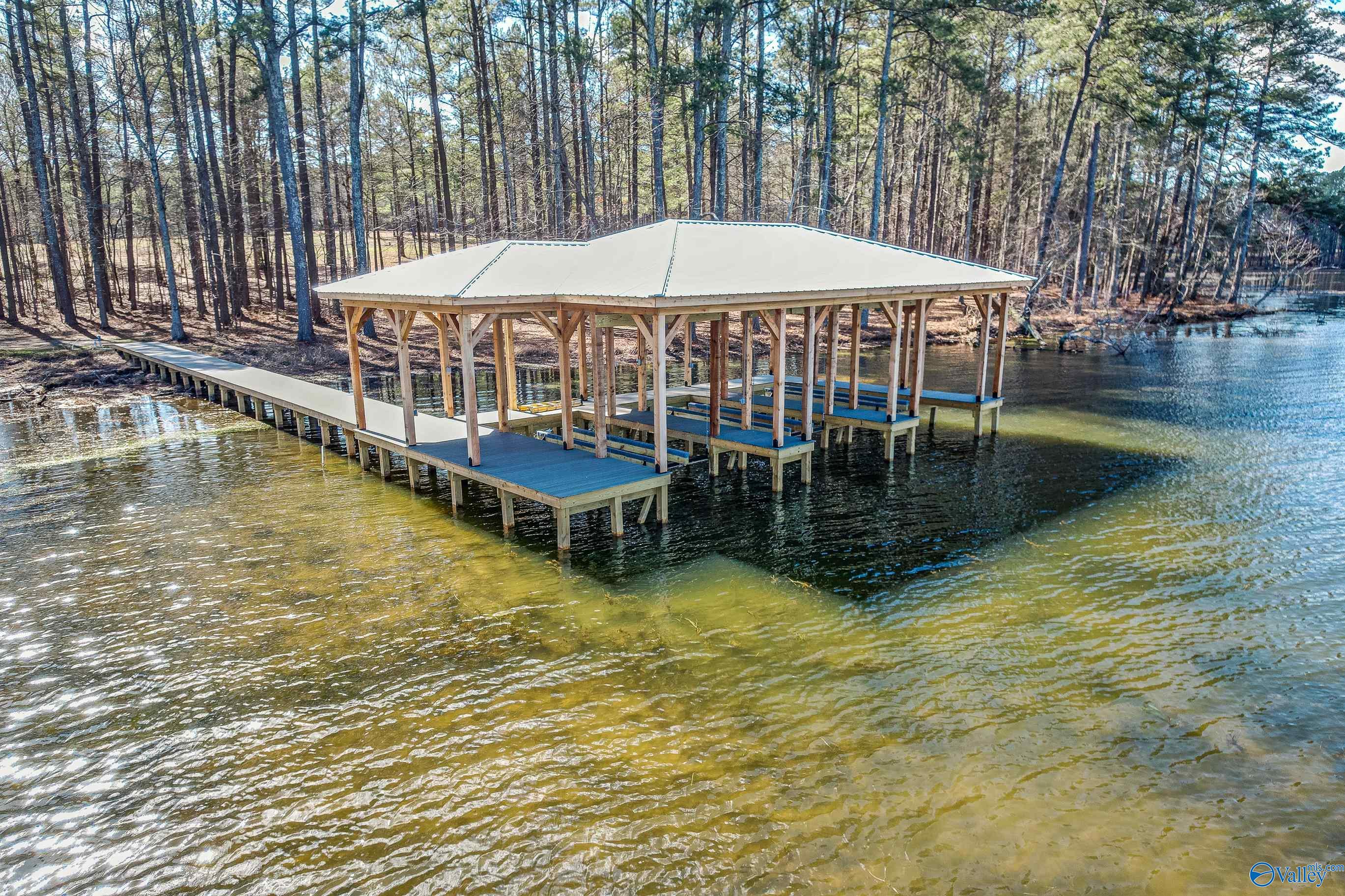 140 Lake Pointe Circle, Scottsboro, Alabama image 3