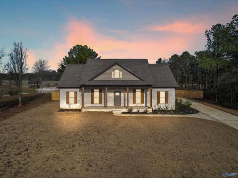 Photo of 15685 Huntsville Brownsferry Road, Athens, AL 35611 (MLS # 21905177)