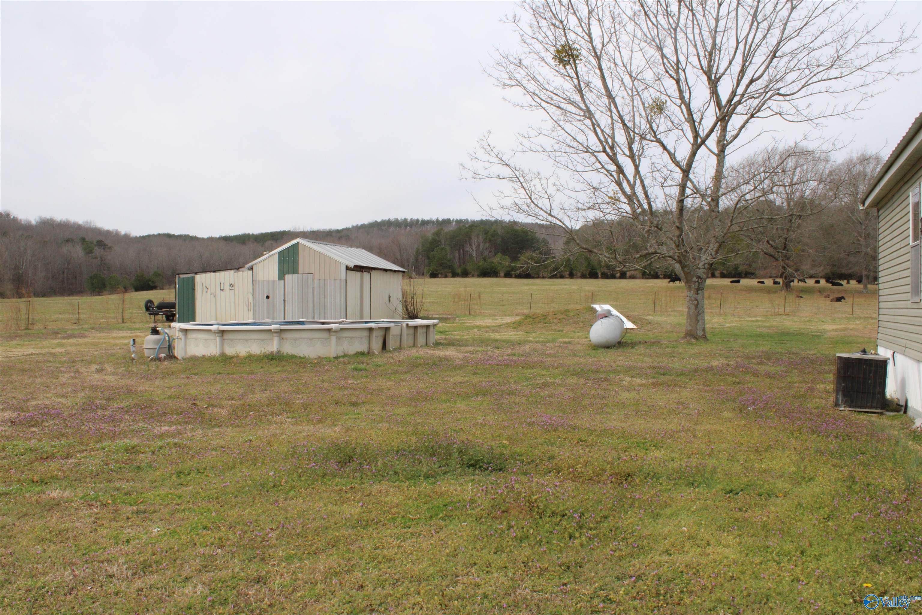 75 County Road 14, Danville, Alabama image 22