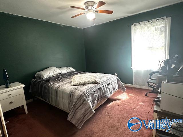 286 Willmon Subdivision Rd, Scottsboro, Alabama image 25