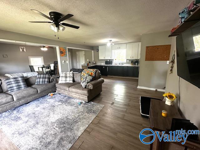 286 Willmon Subdivision Rd, Scottsboro, Alabama image 6