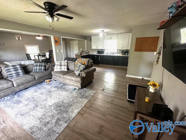 286 Willmon Subdivision Rd, Scottsboro, Alabama image 15