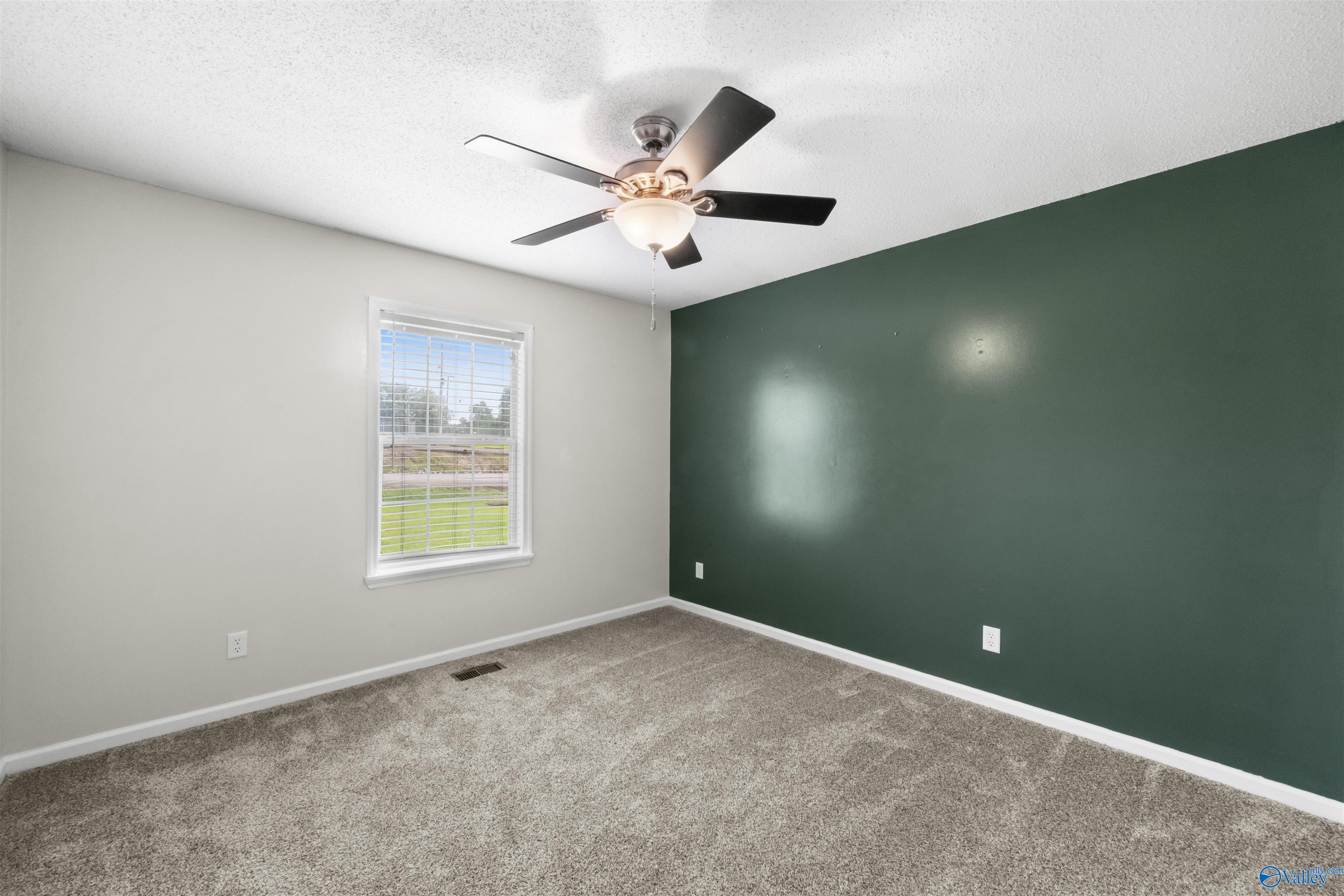 3161 Hawthorne Place, Southside, Alabama image 24