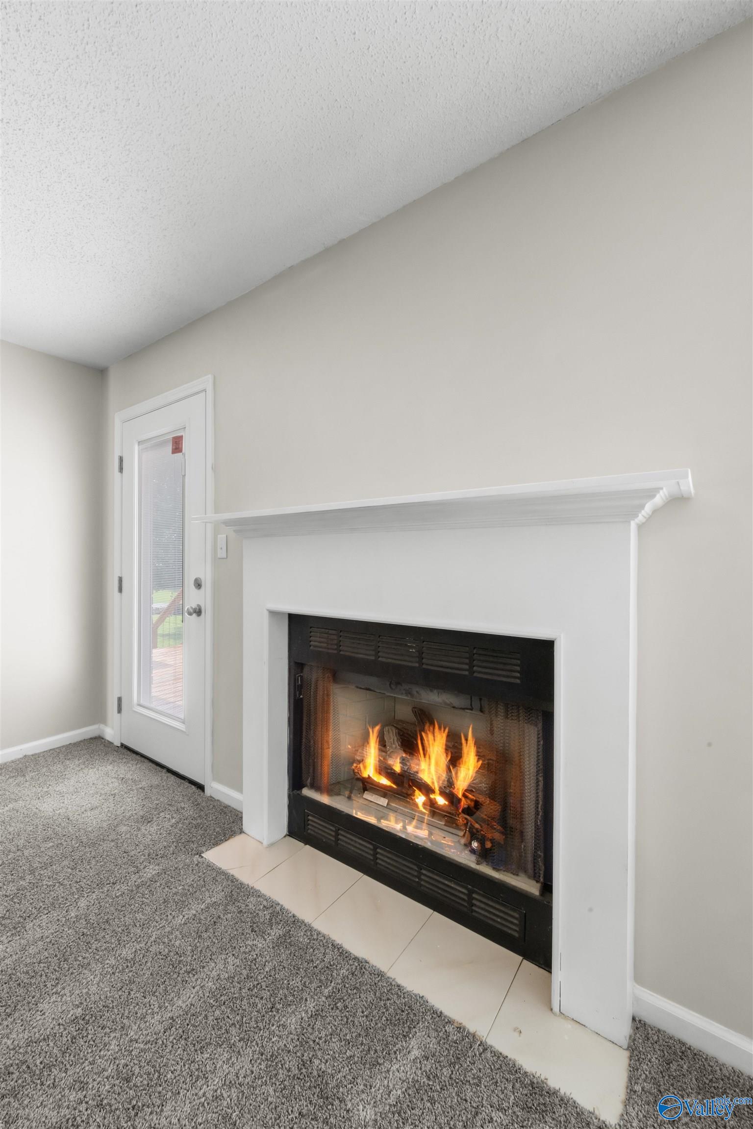 3161 Hawthorne Place, Southside, Alabama image 31