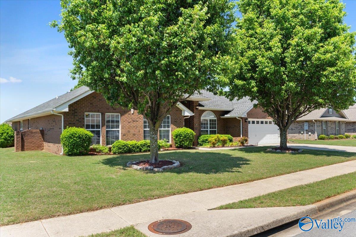 509 Summer Cove Circle, Madison, Alabama image 41