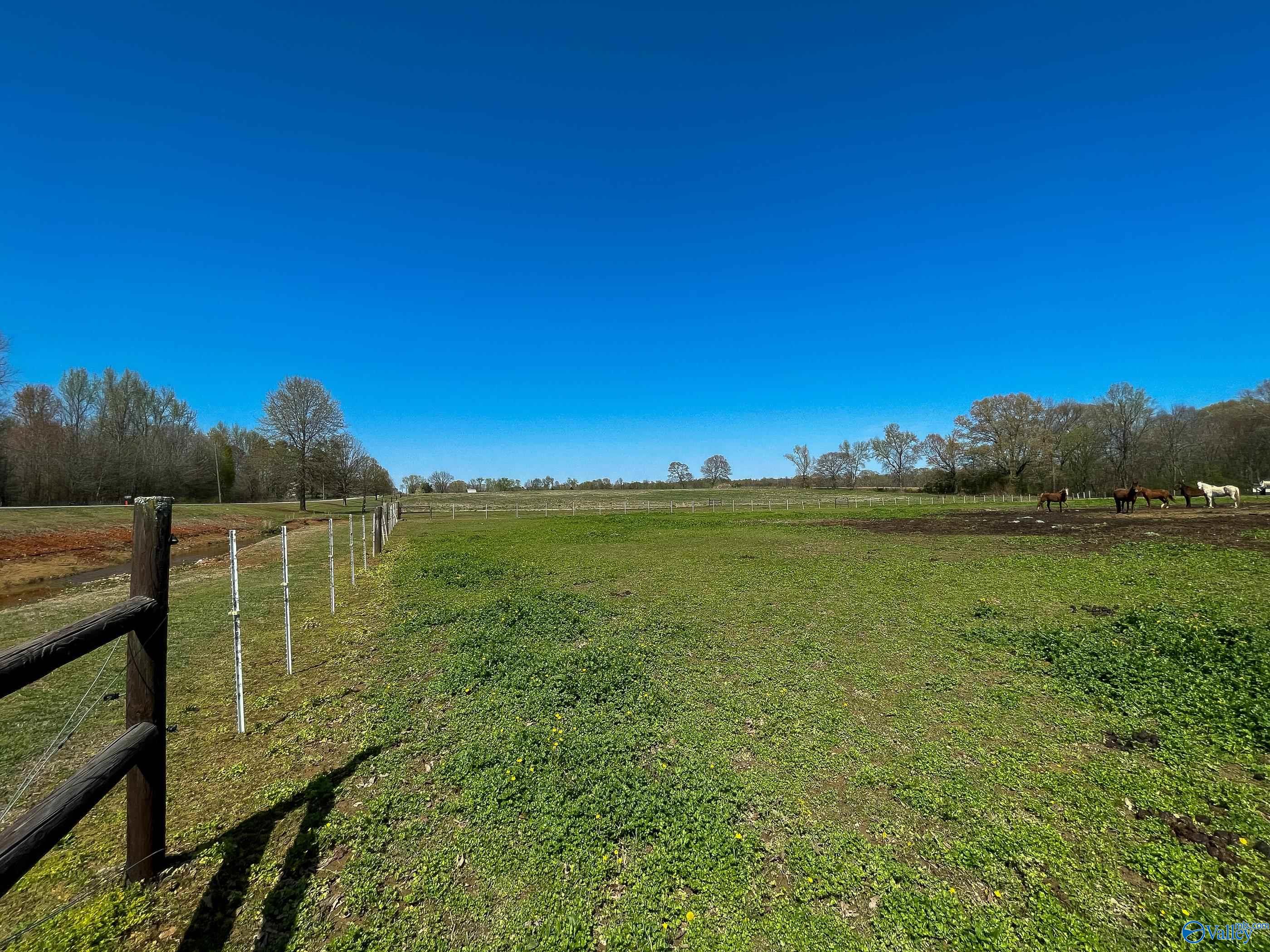 7075 Old Railroad Bed Road, Toney, Alabama image 42