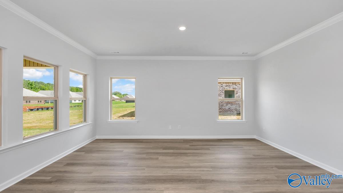 519 East River Landing Blvd, Madison, Alabama image 11