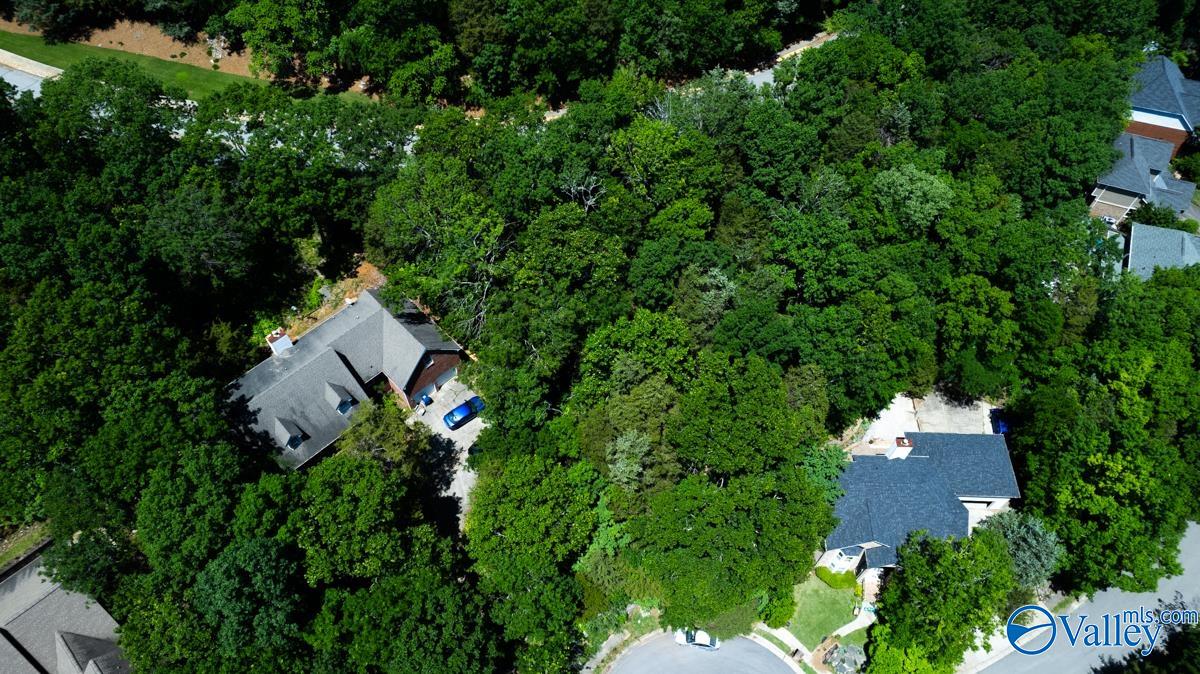 10132 Skylark Drive, Huntsville, Alabama image 3