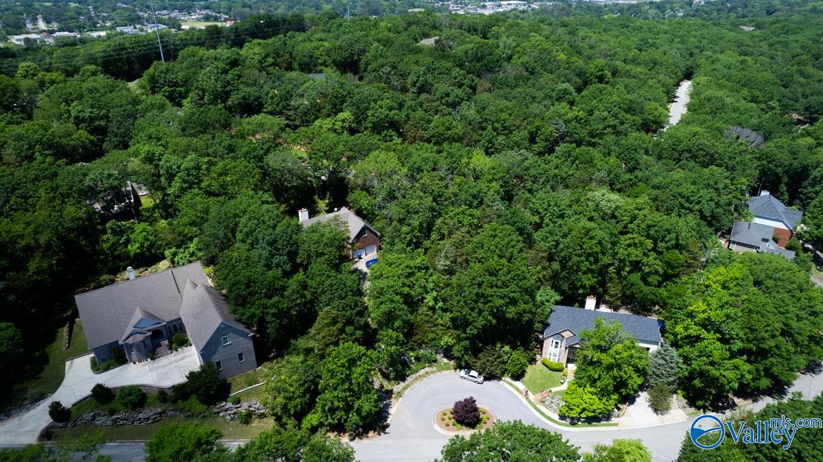 10132 Skylark Drive, Huntsville, Alabama image 1