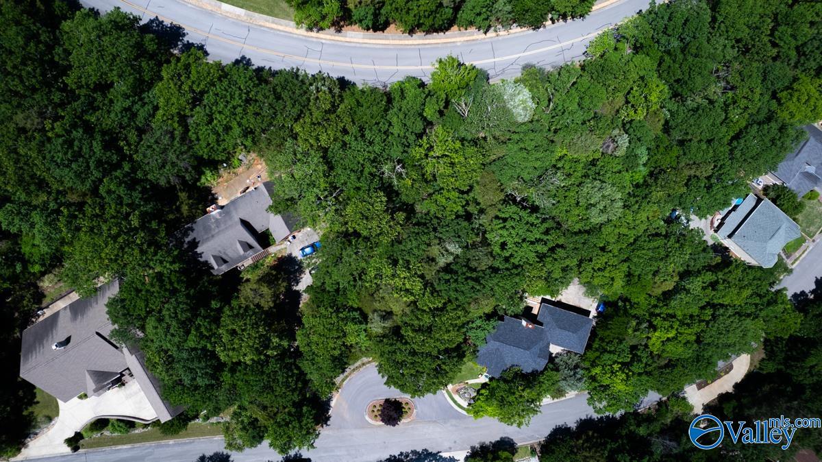 10132 Skylark Drive, Huntsville, Alabama image 10