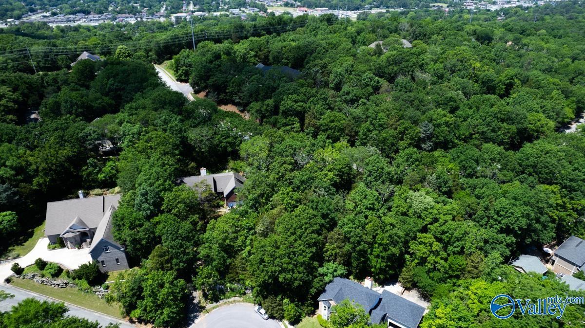 10132 Skylark Drive, Huntsville, Alabama image 5