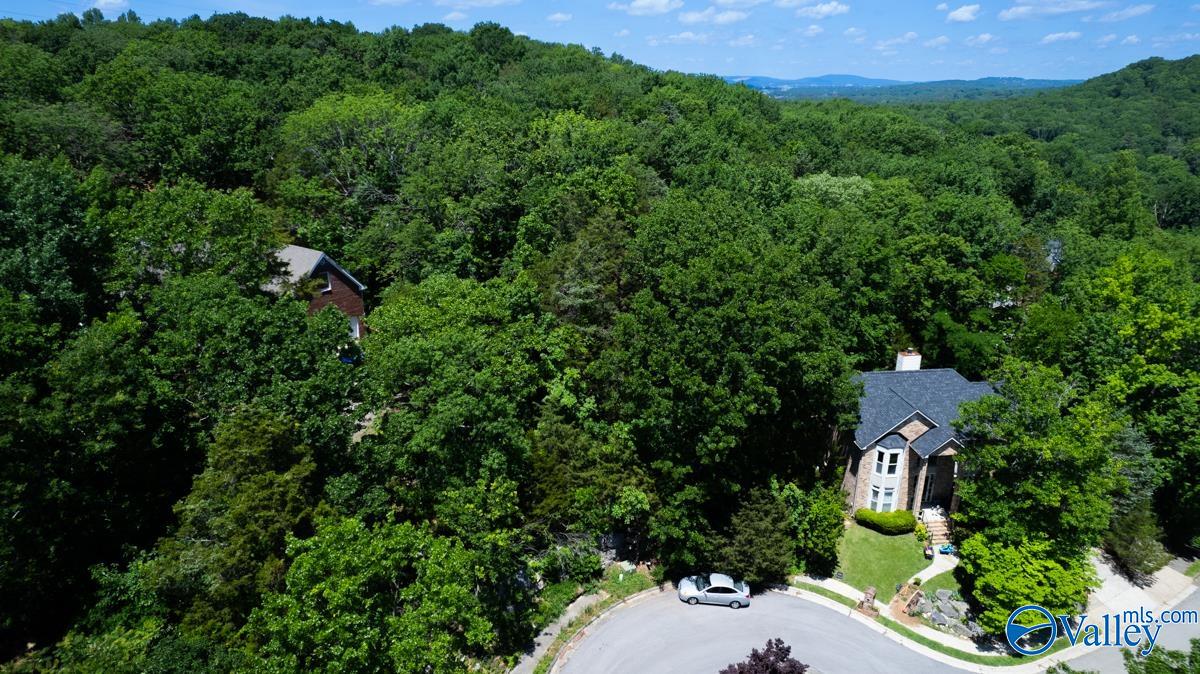 10132 Skylark Drive, Huntsville, Alabama image 2