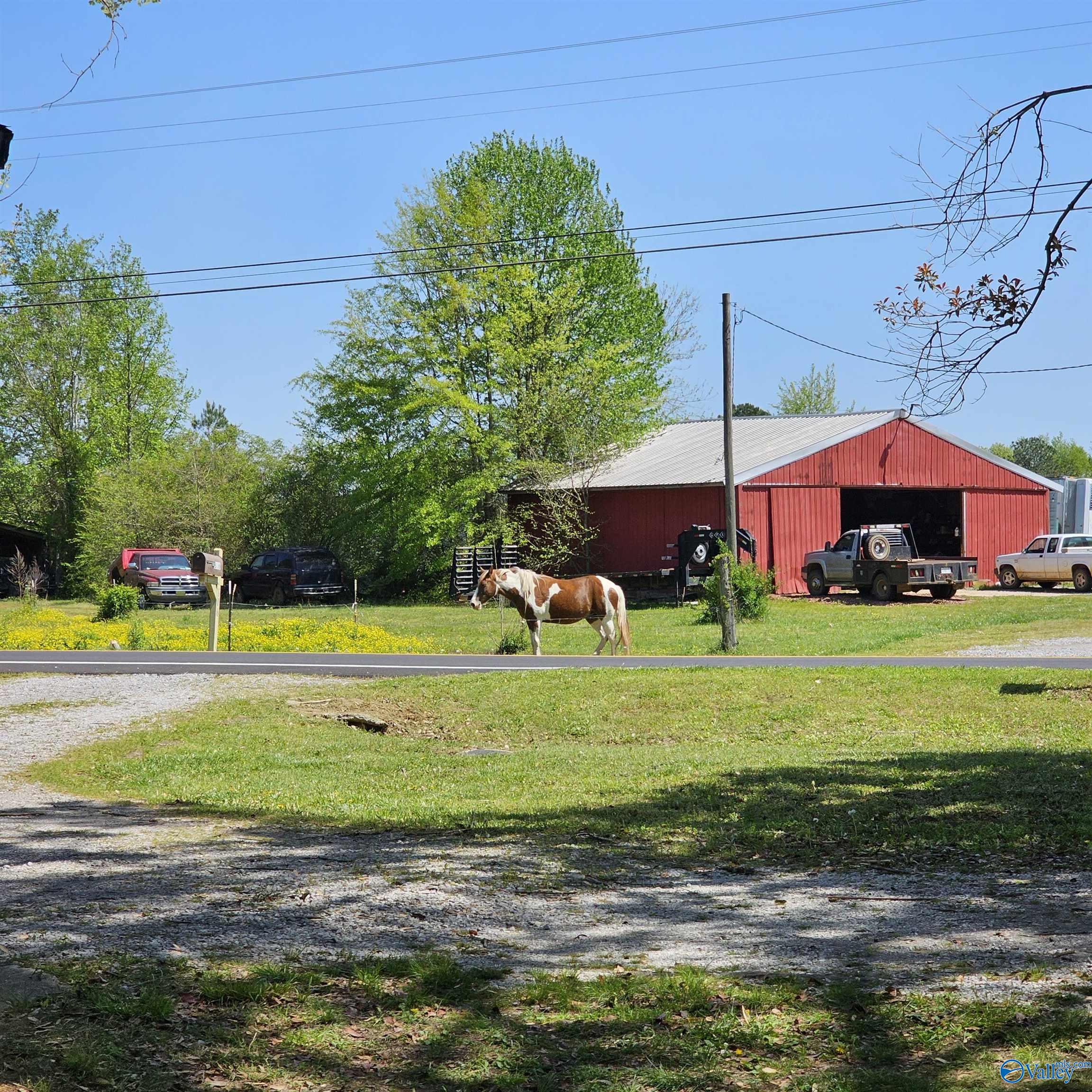 806 Kirby Bridge Road, Danville, Alabama image 24