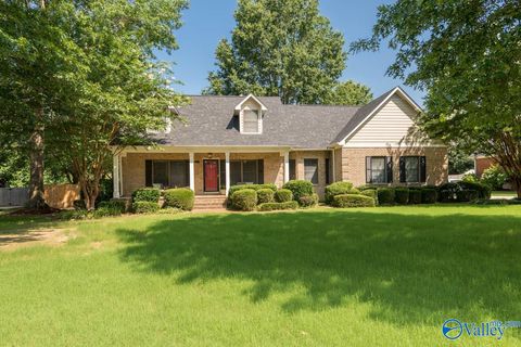 603 Sunburst Circle SE Brownsboro AL 35741
