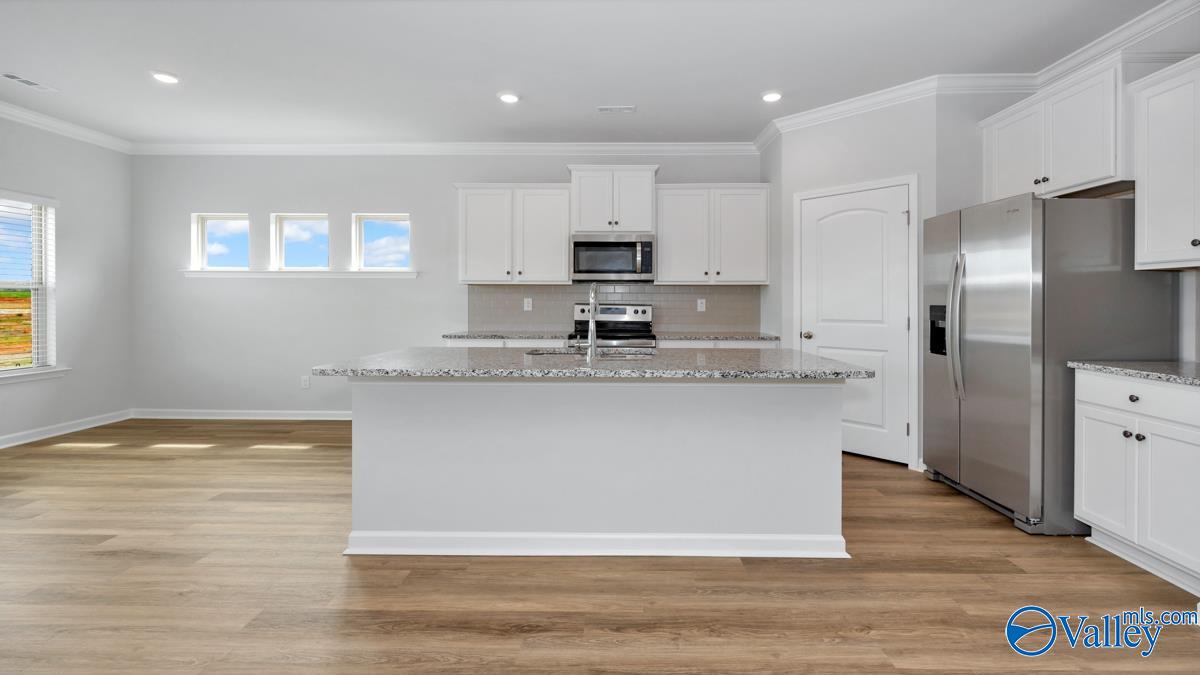 531 E East River Landing Blvd, Madison, Alabama image 9