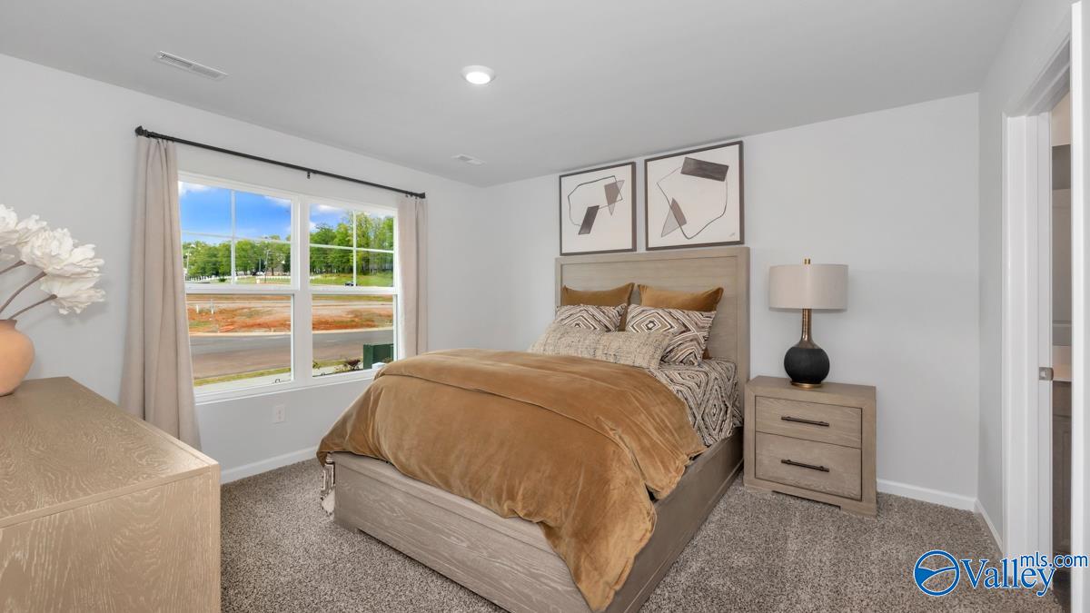 144 Ivy Park Circle, Albertville, Alabama image 19