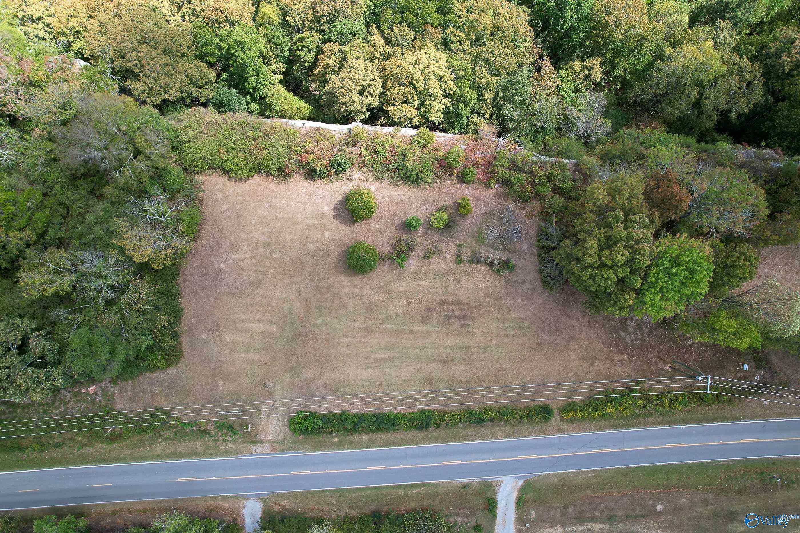 Lot 2 Brow Road #LOT 2, Trenton, Georgia image 9