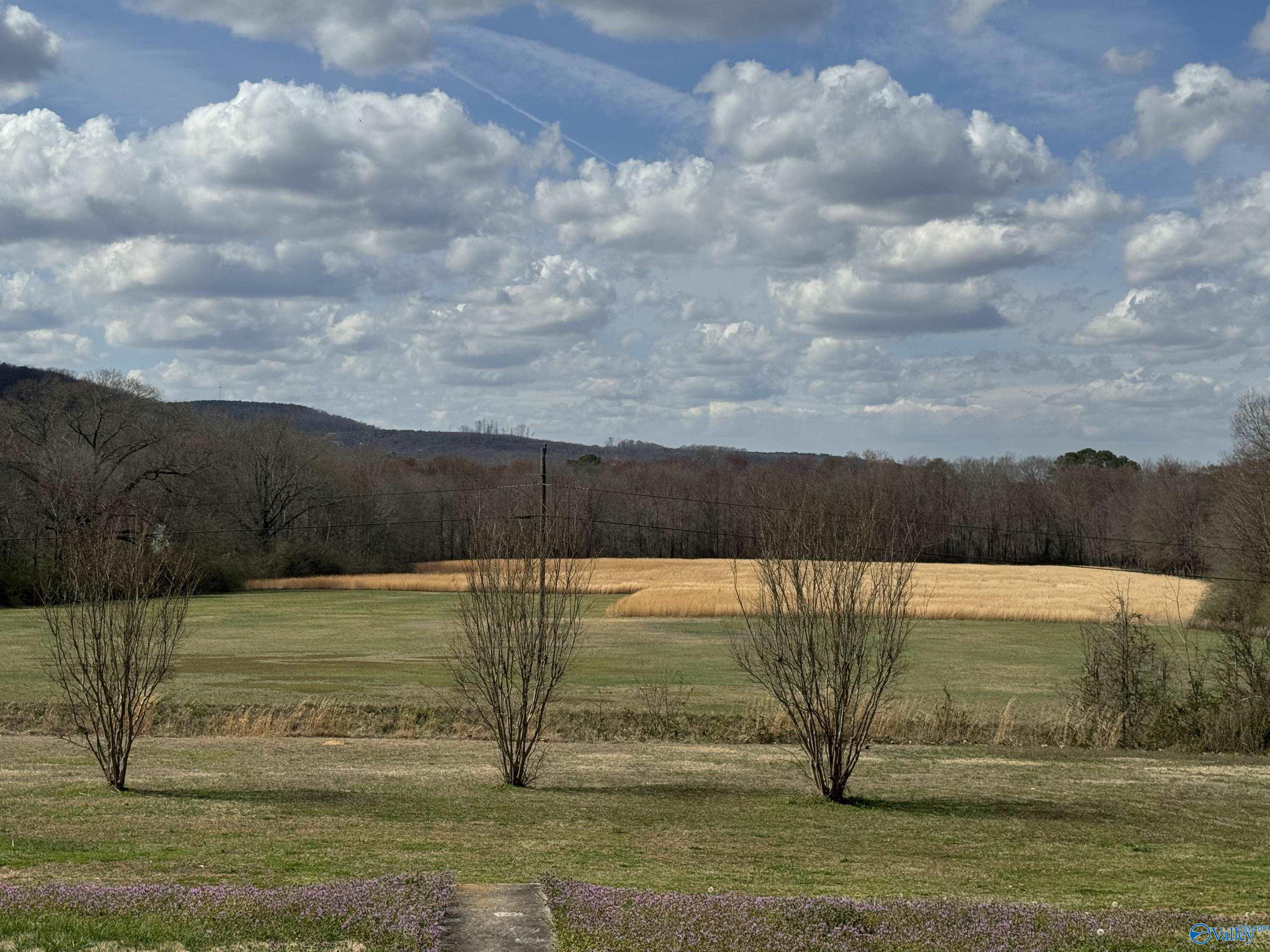 1156 Crawford Bottom Road