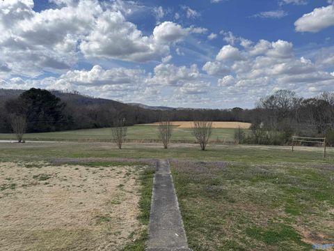 Photo of 1156 Crawford Bottom Road, Somerville, AL 35670 (MLS # 21914193)