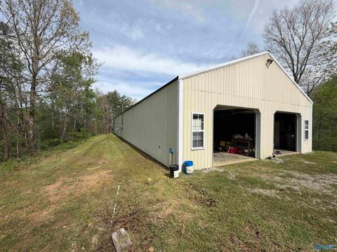 Homes For Sale - 2121 Center Hill Road<br/> Blount County, Trafford, AL 35172