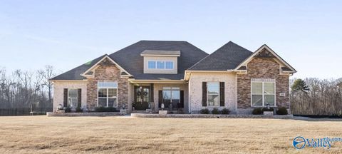 Photo of 108 Naismith Drive, Meridianville, AL 35759 (MLS # 21908745)