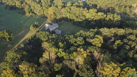 Homes For Sale - 8339 Nixon Chapel Road<br/> Horton, AL 35980
