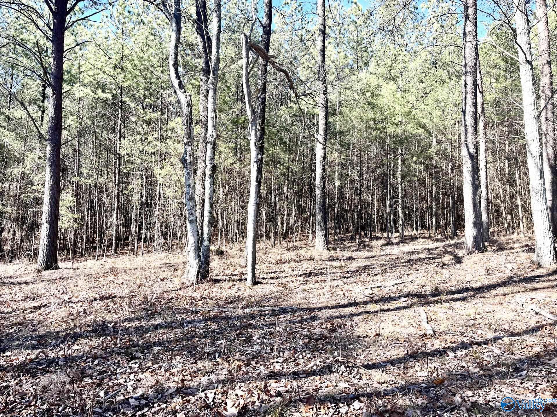 3945 Crockett Pointe, Jasper, Tennessee image 24