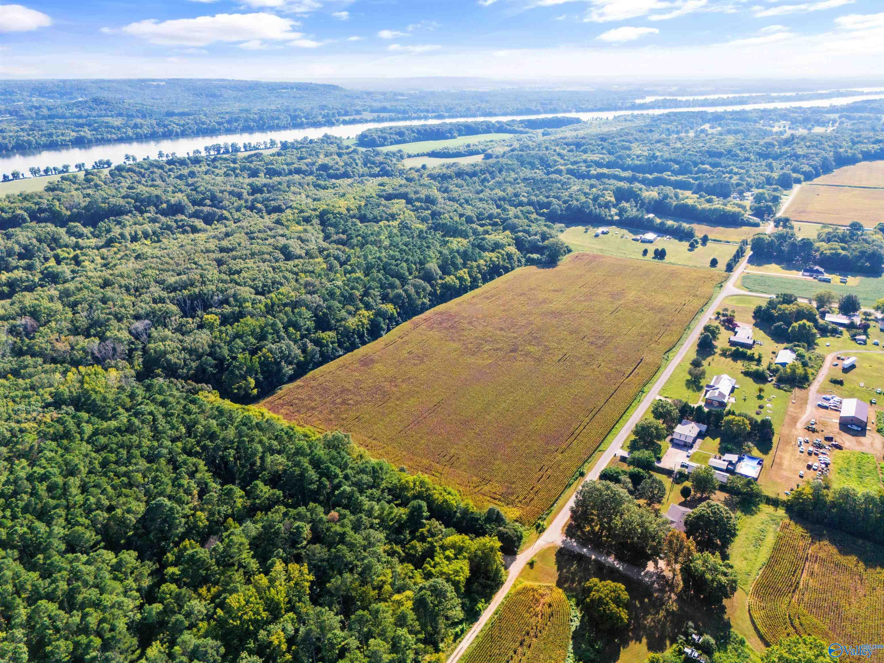 24 Acres John Gordon Road, Madison, Alabama image 2