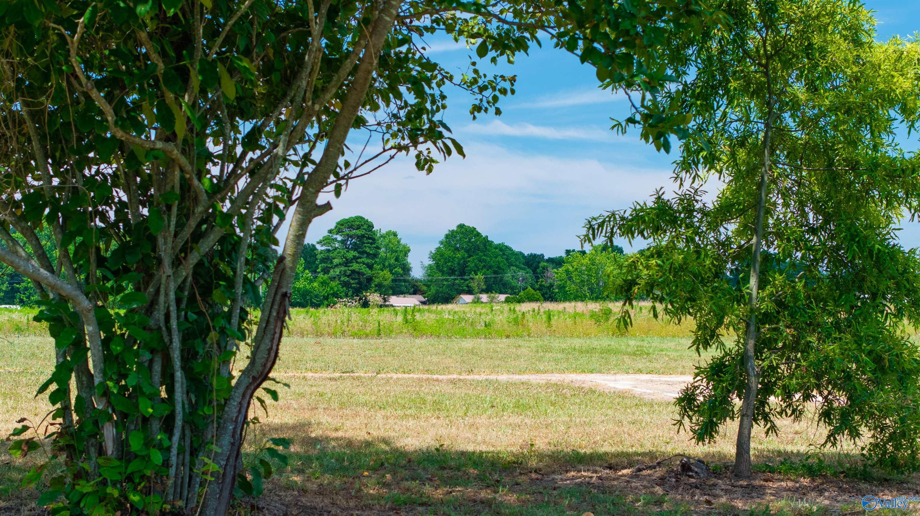 Vacant Tract Willingham Street, Rainsville, Alabama image 13