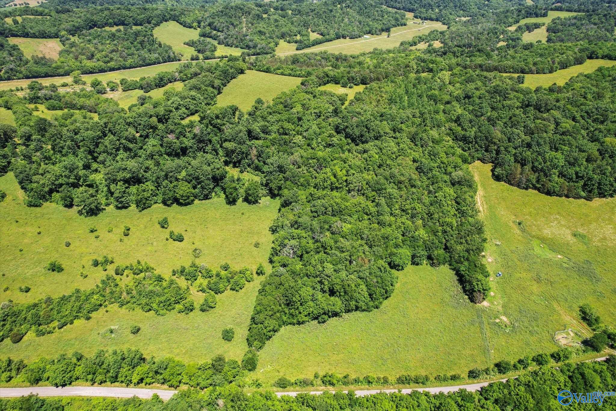 108 Carpenter Road, Dellrose, Tennessee image 4