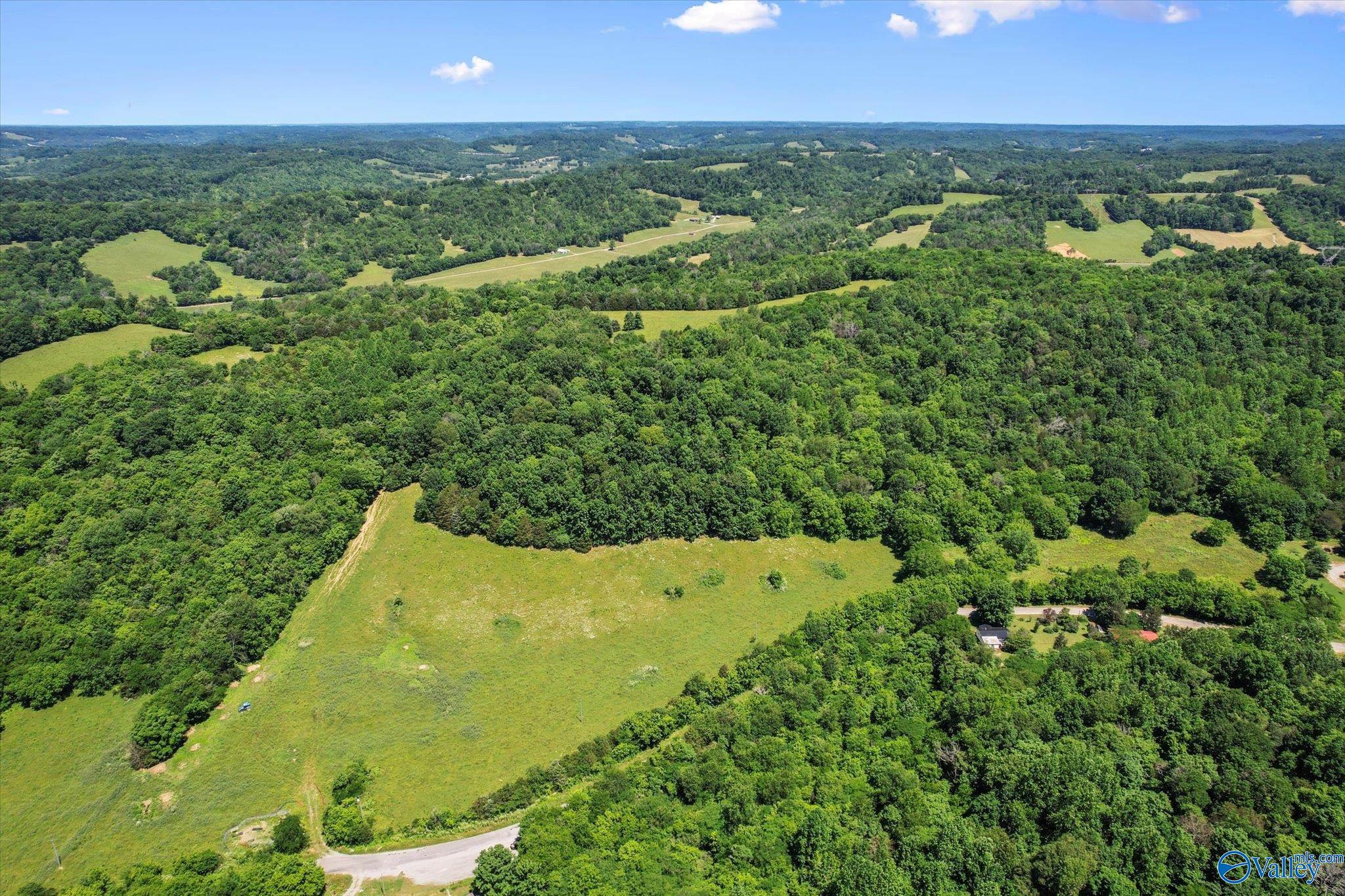 108 Carpenter Road, Dellrose, Tennessee image 2