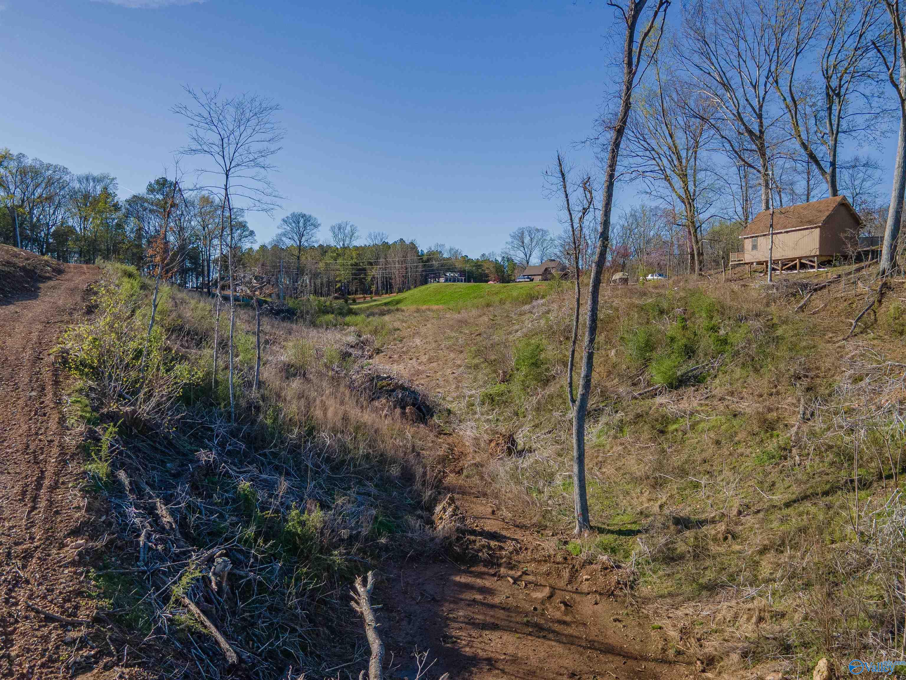 Lot 28/29 Lakeview Drive, Rogersville, Alabama image 22