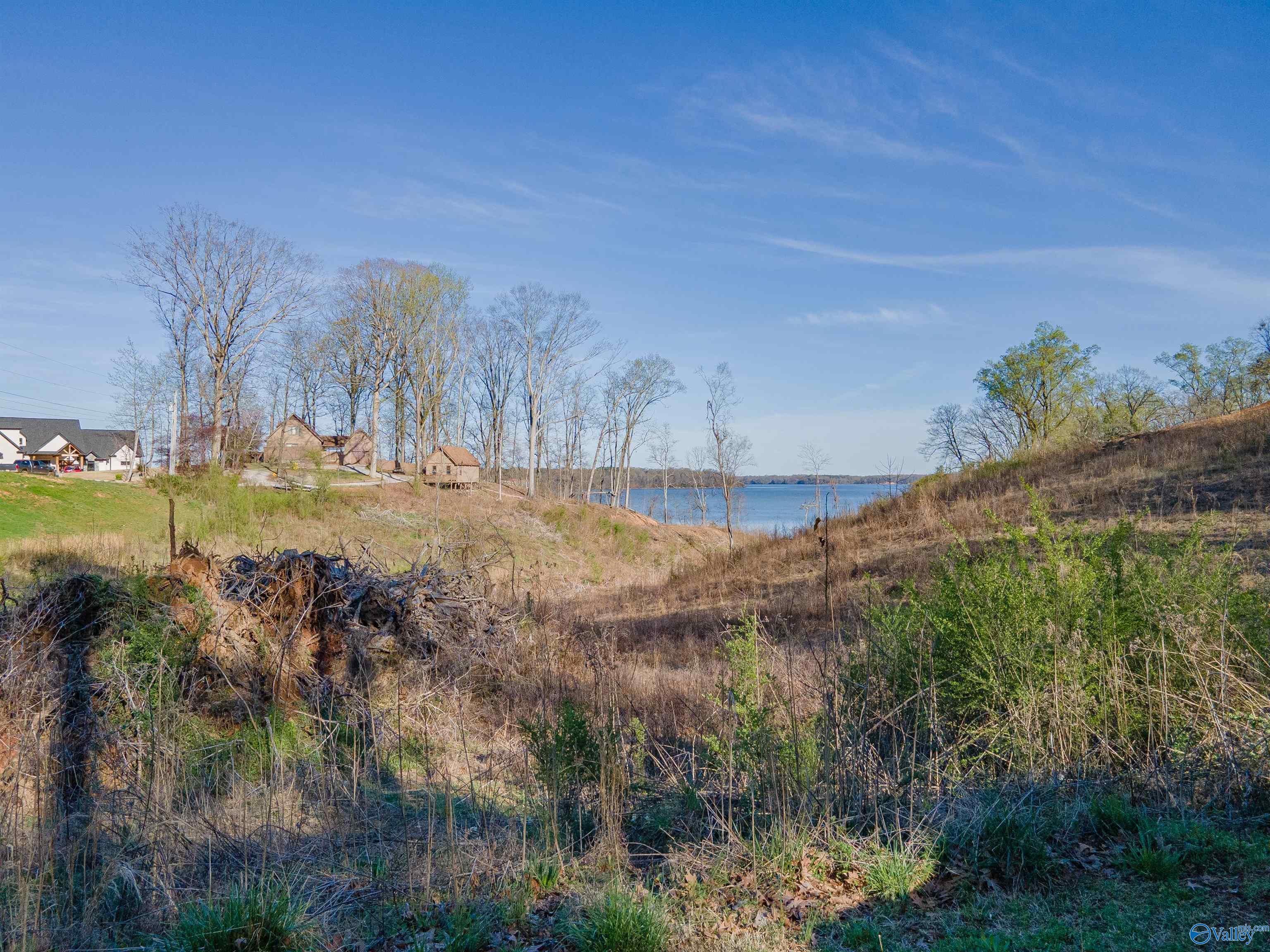Lot 28/29 Lakeview Drive, Rogersville, Alabama image 33