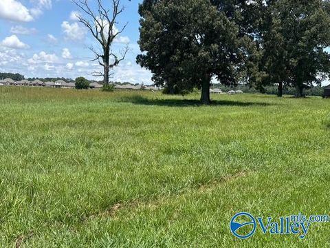 Vacant Land For Sale - 77 ACRES Alabama Highway 251<br/> Toney, AL 35773