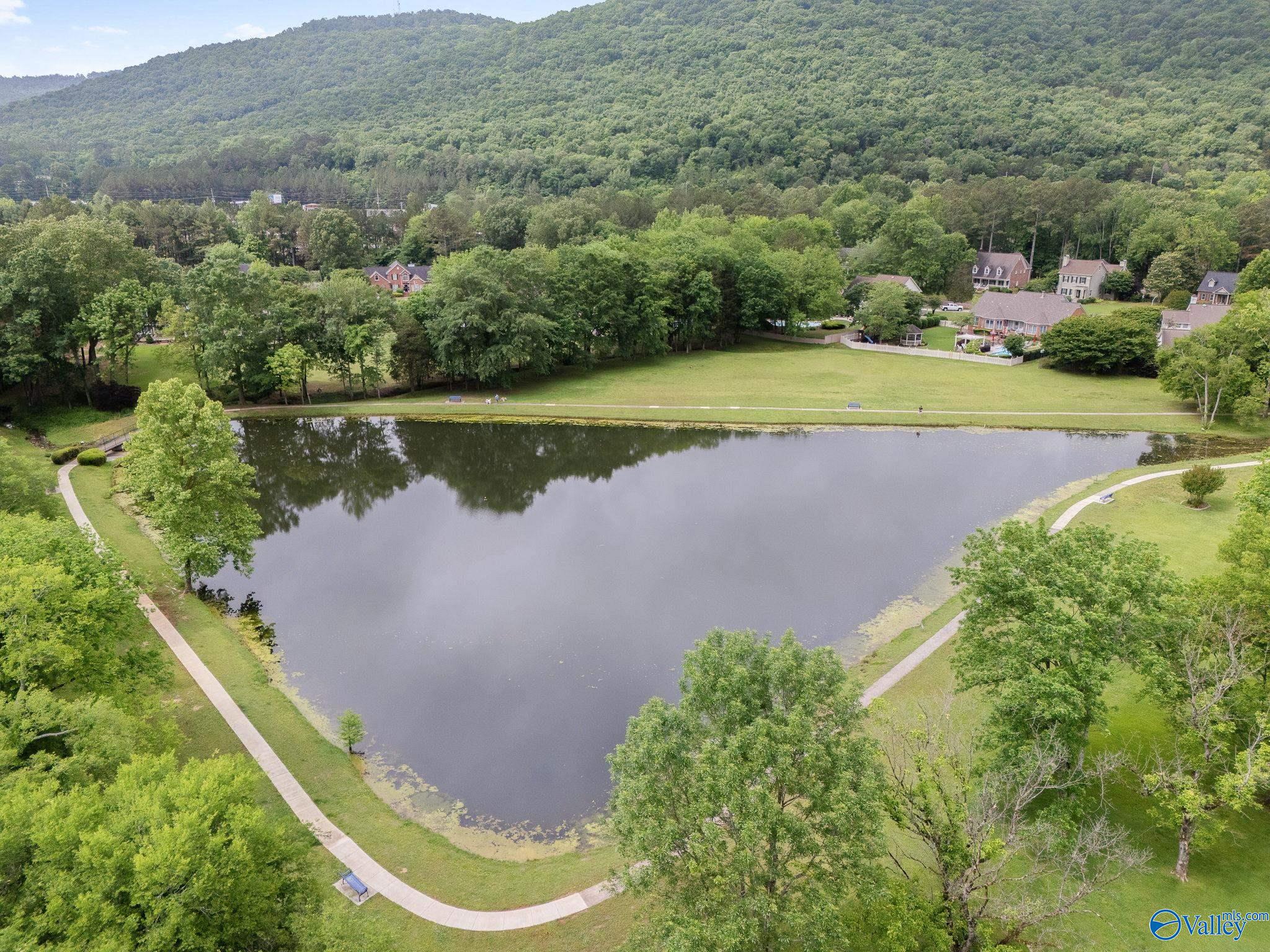4806 Cove Creek Drive, Brownsboro, Alabama image 44