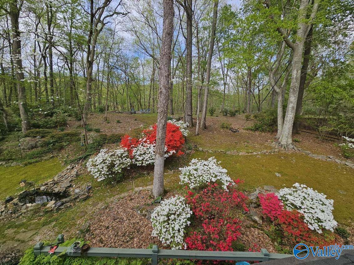 4806 Cove Creek Drive, Brownsboro, Alabama image 39